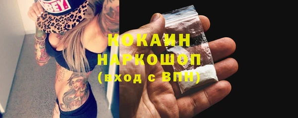 сатива Балахна