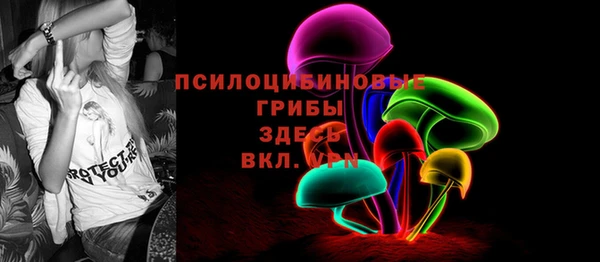 индика Балабаново